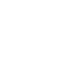 LITHOTHERM